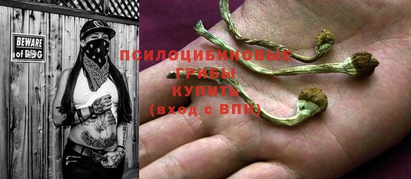 тгк Алексеевка