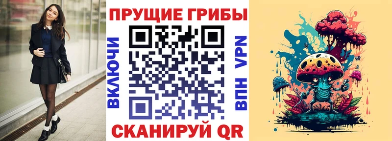 blacksprut вход Слободской Псилоцибиновые грибы Psilocybe даркнет сайт