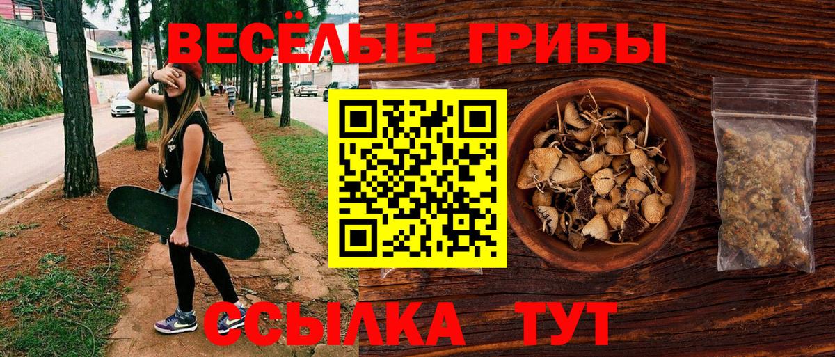 Псилоцибиновые грибы прущие грибы  Псилоцибиновые грибы MAGIC MUSHROOMS  Слободской  Вход с VPN 